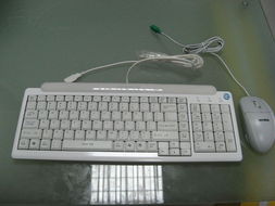 神舟新瑞L3900e一體電腦 簡約設計與實用性能的融合典范