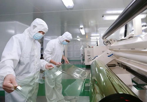 力達科技 以技改創新驅動企業服務，鑄就發展新引擎